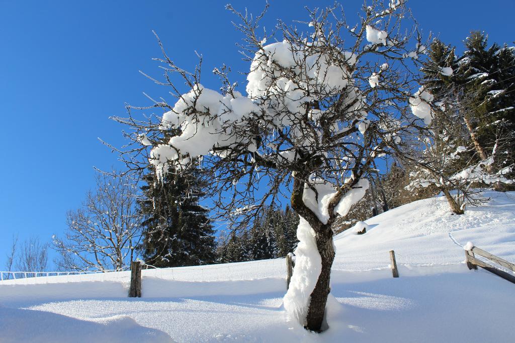 Laubichlhof Flachau Exterior foto